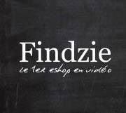 Findzie logo