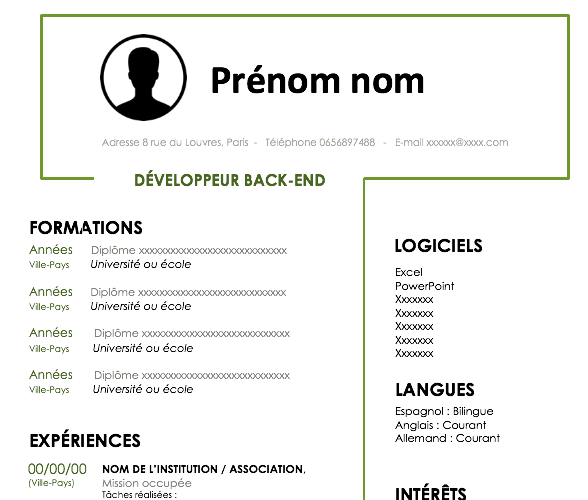 CV développeur back-end
