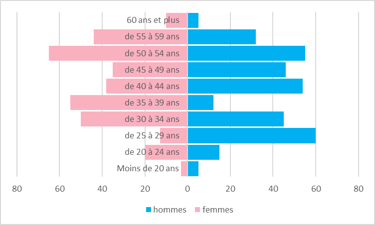 exemple de pyramide des âges en entrperise