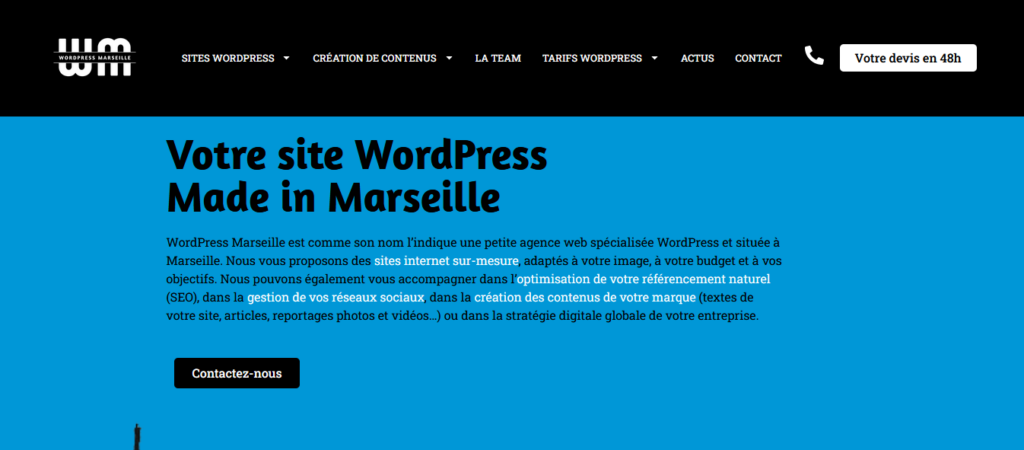 Illustration pour l'agences wordpress marseille